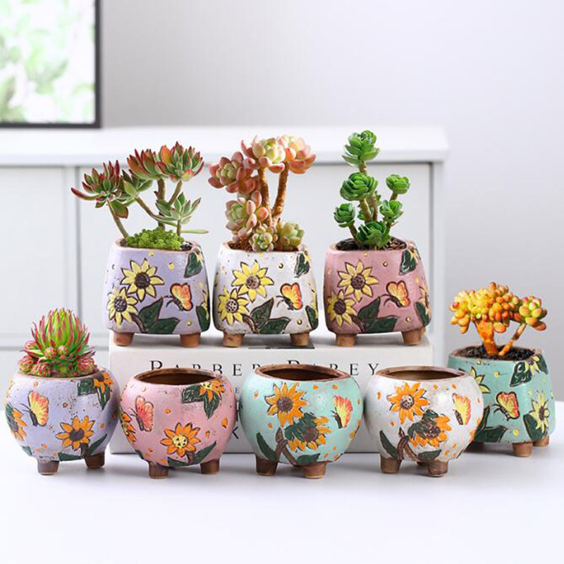 Echeveria Succulent - الكورية نمط عباد الشمس نمط وعاء