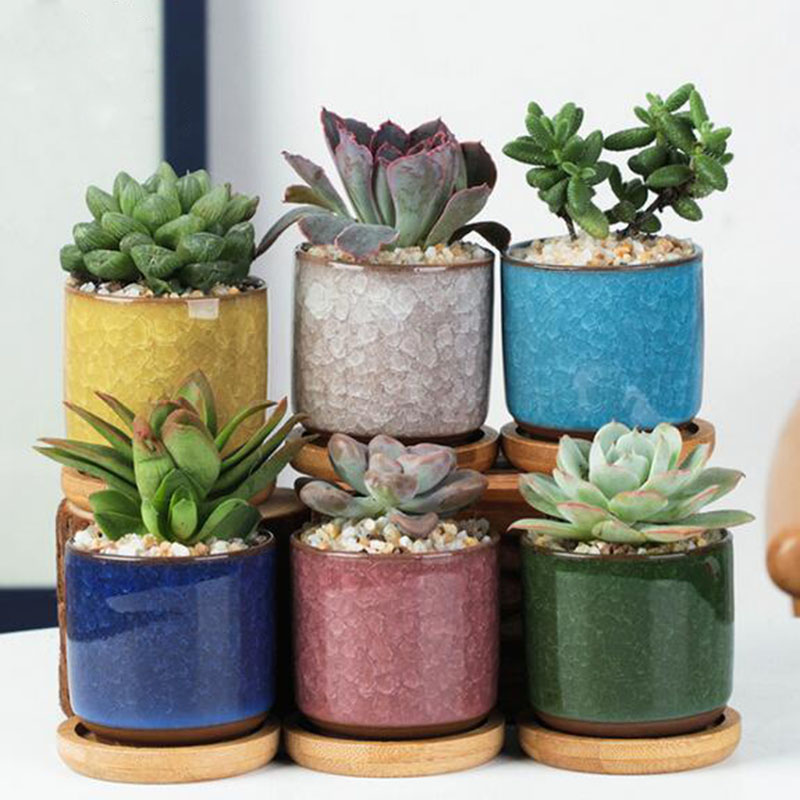 Echeveria Succulent - 6 قطعة/المجموعة السيراميك الزهرية مجموعة صغيرة