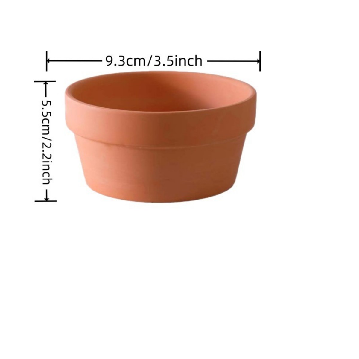وعاء الطين الطين مع ثقب الصرف  - مراجعة Echeveria Succulent وسعره