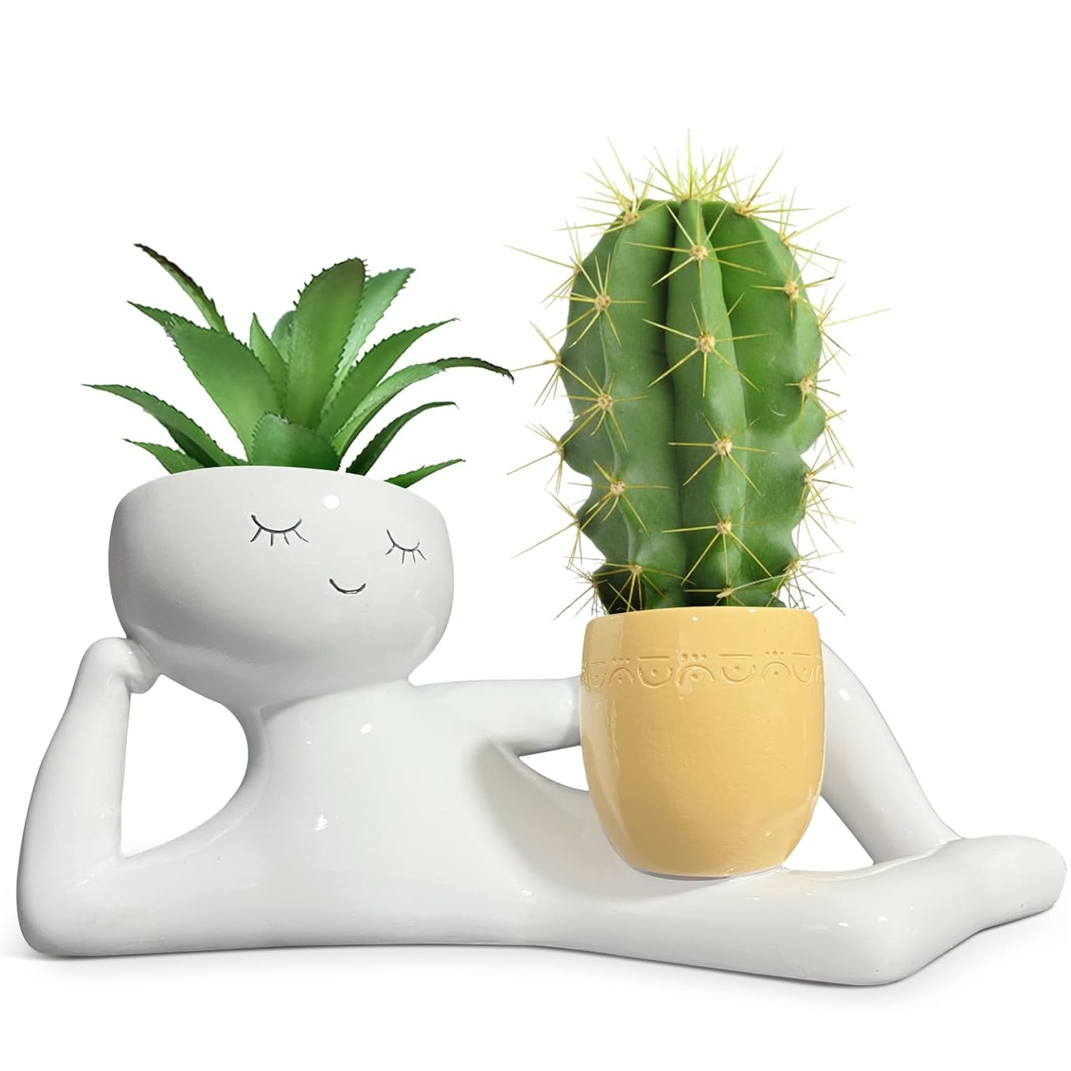 وعاء زرع فريد بتصميم الرجل الك - مراجعة Echeveria Succulent وسعره