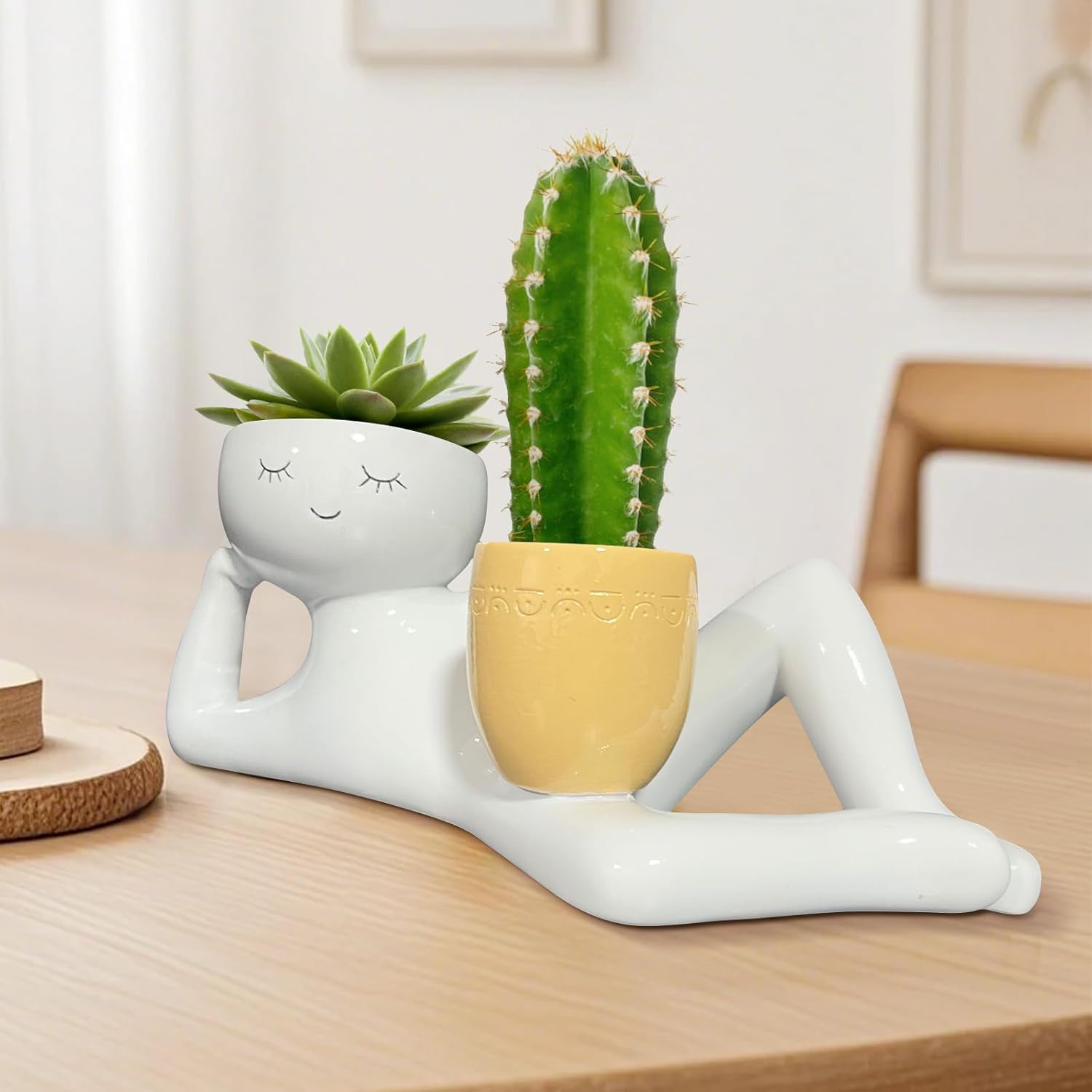 وعاء زرع فريد بتصميم الرجل الك - مراجعة Echeveria Succulent وسعره