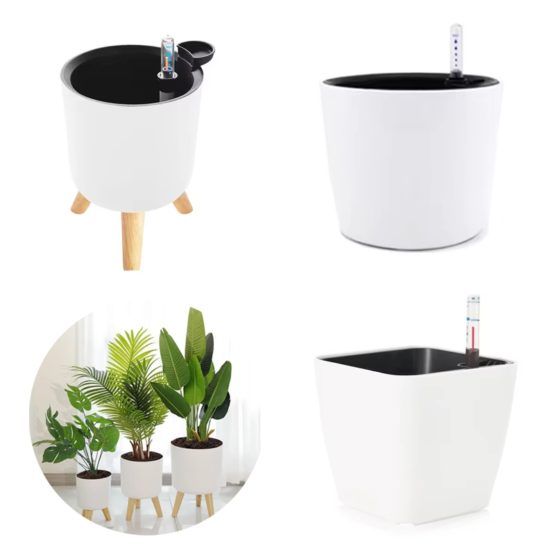 وعاء زهور بلاستيكي داخلي ذاتي  - مراجعة Aloe Vera Pot وسعره