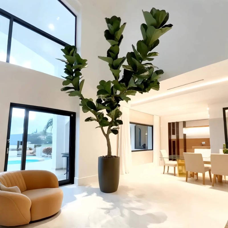 نباتات اصطناعية نباتات بوعاء د - مراجعة Ficus Lyrata Tree وسعره
