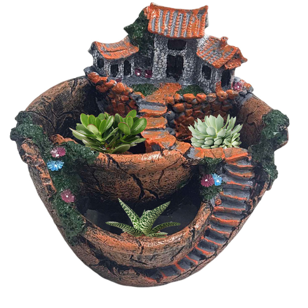 وعاء نباتات عصارية بتصميم عتيق - مراجعة Echeveria Succulent وسعره