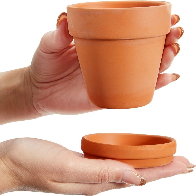 6 عبوات من أواني الطين مقاس 3  - مراجعة Echeveria Succulent وسعره