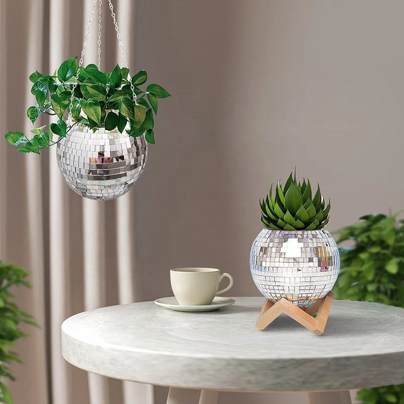 وعاء زهور معلق على شكل كرة ديس - مراجعة Echeveria Succulent وسعره